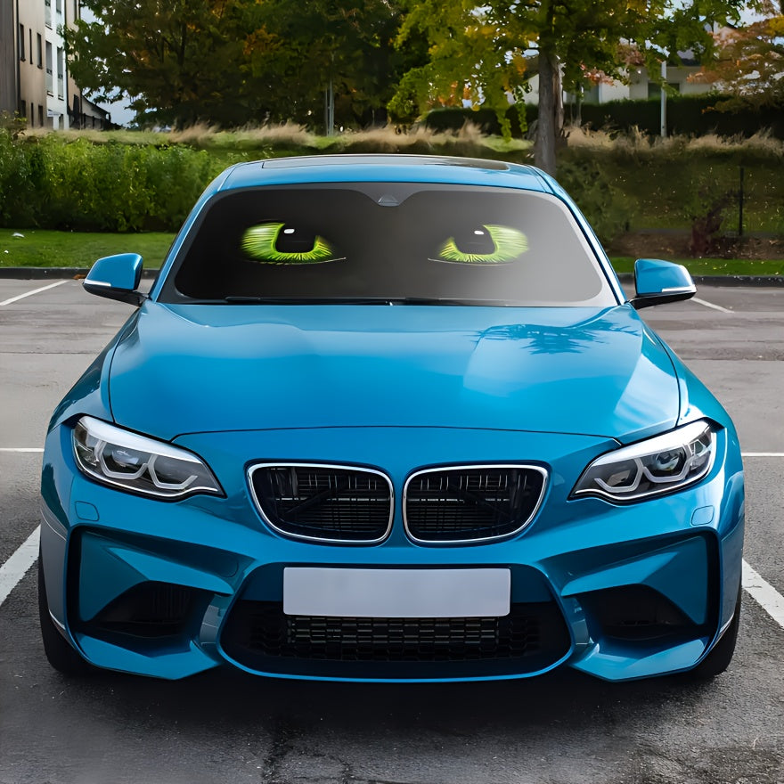 Interesting sun visor