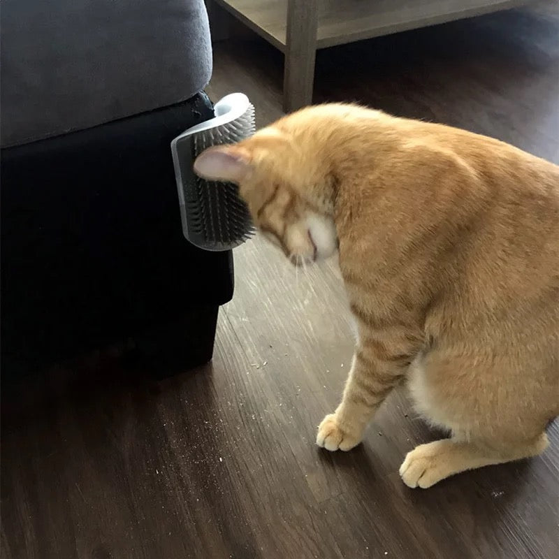 Cats hair Brush ( two)