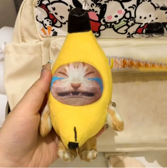 Crying cat