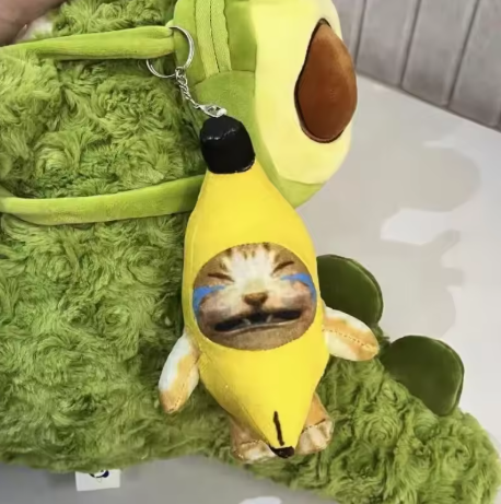 Crying cat